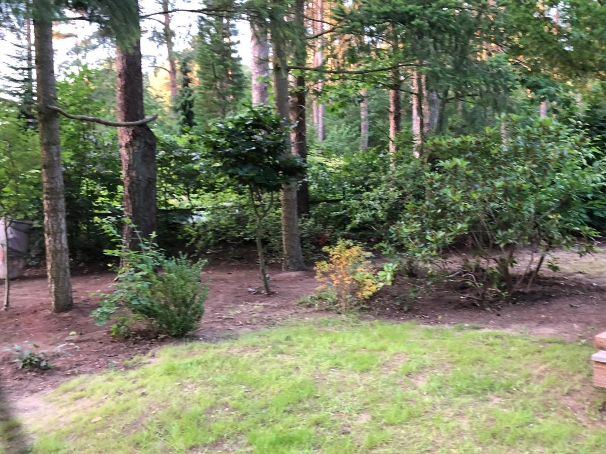 Ferienhaus Reetdach 1300Qm Privatgrundstueck Bootssteg Sauna Templin Luebbesee Uckermark Erholung Pur Seenplatte Petersdorf  ภายนอก รูปภาพ